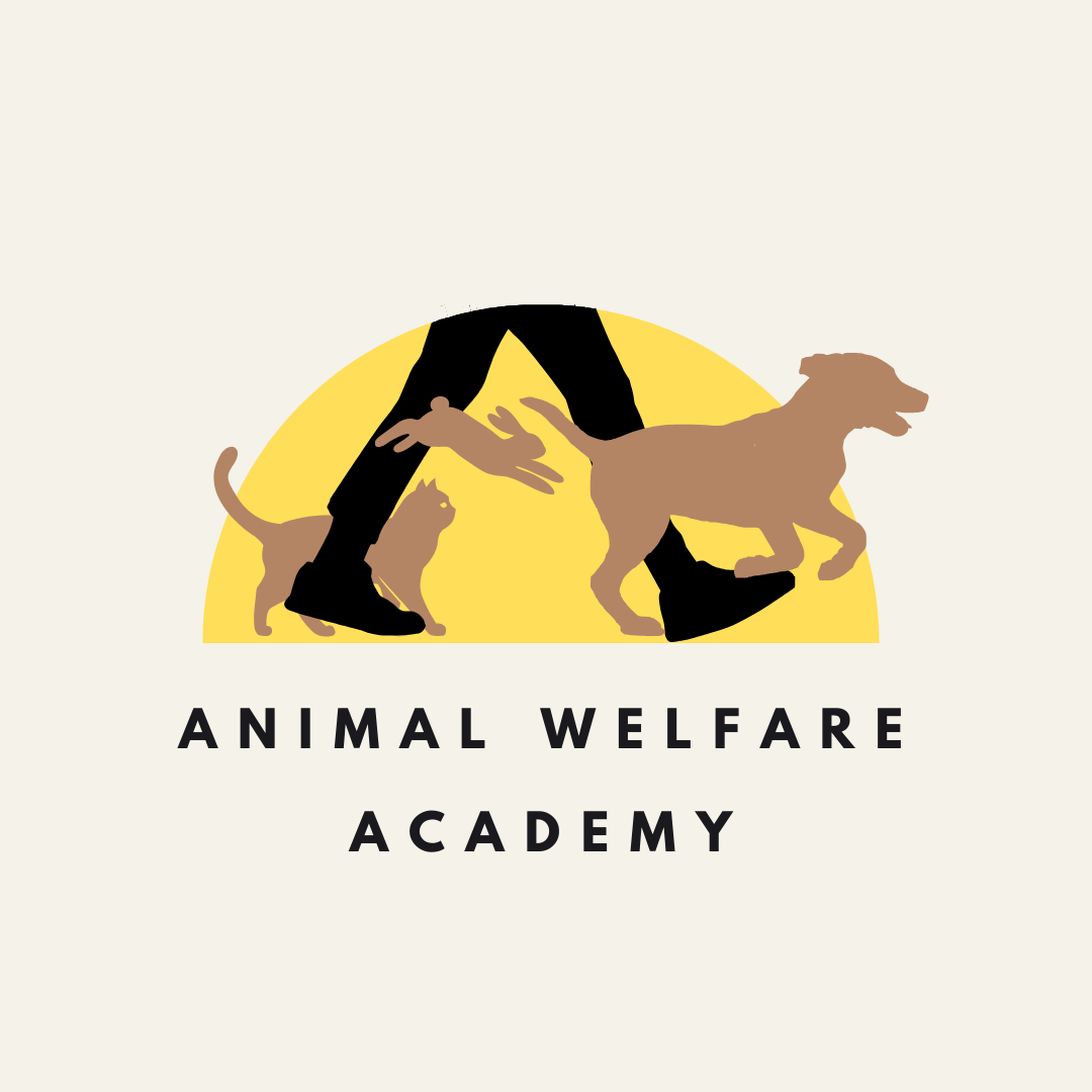 Animal Welfare Academy