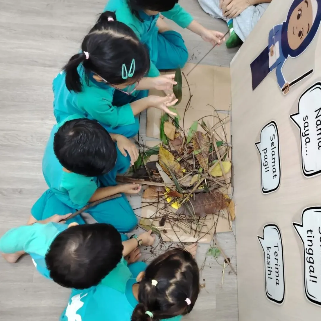 Leaf Identification Workshop
